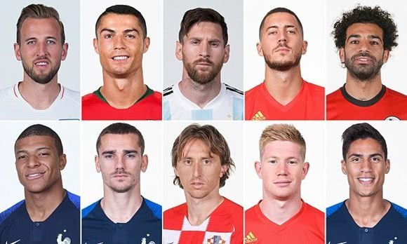 的情感联结 的情感联结