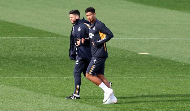 球迷和媒体 球迷和媒体